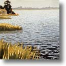 NantucketPond8x10-icon.jpg