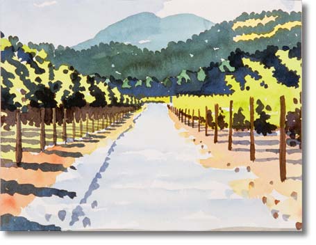 St. Helena Vineyard